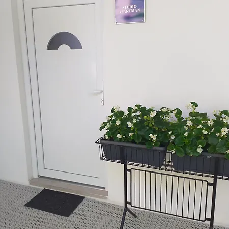 Mari Apartment *